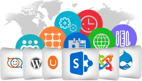 wwms web development solutions
