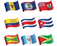 wwms translation services