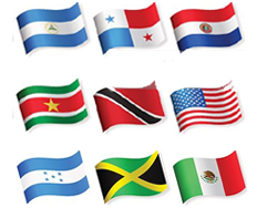 wwms translation services