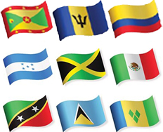 wwms translation services