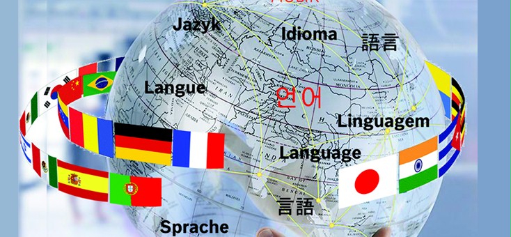 wwms translation services